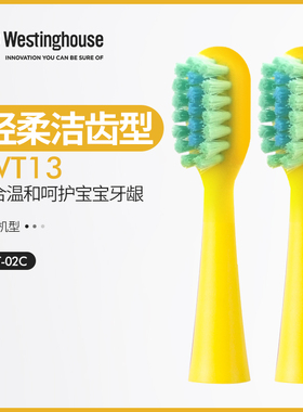 美国西屋电动 牙刷头健康301B/P/W/401B/P/501W/506/507通用WT01