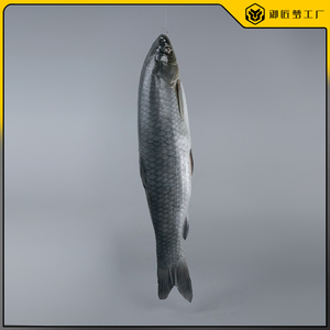 仿真大鲤鱼模型假鱼淡水鱼模型