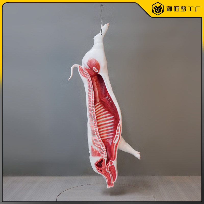 玻璃钢仿真猪肉排骨雕塑道具定制