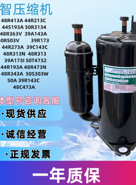 全新瑞智 48R323C 44R193A 39R143C 48R373A 50A473V 压缩机220V