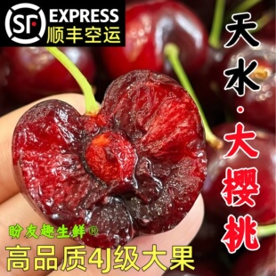 【彩箱礼盒装】天水大樱桃顺丰空运新鲜水果现摘国产樱桃车厘子