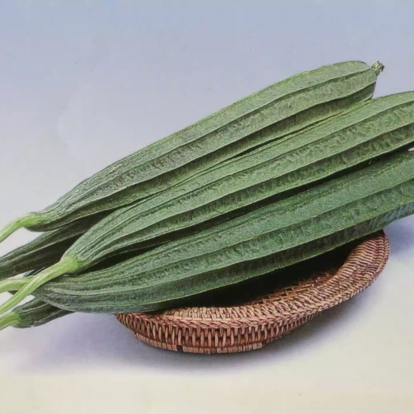 广东丝瓜 新鲜蔬菜 八棱瓜角瓜棱角丝瓜粤菜700g左右整根折断发货