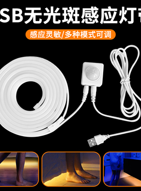 插电款USB接口人体感应LED灯带感应床灯小起夜灯无光斑灯橱衣柜灯
