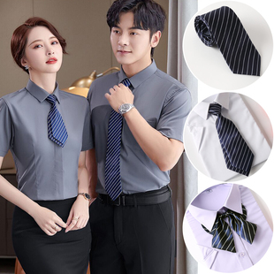 百搭商务领带条纹男女西装 金融地产 领结银行上班领花免手打拉链款