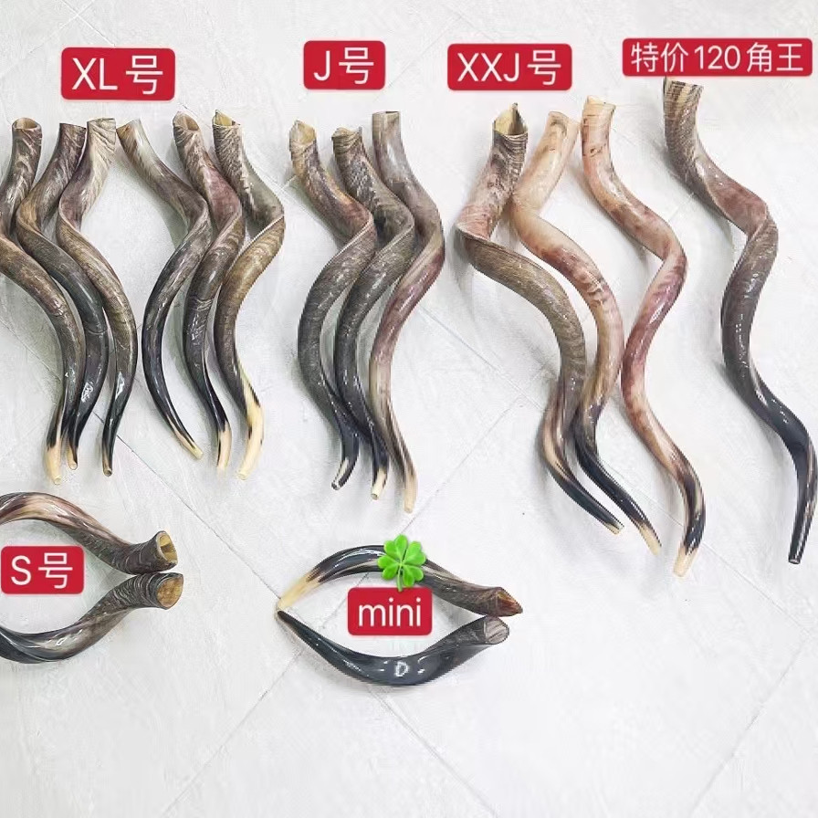 以色列真羊角号大型号角弧度长度S XL  J   XXJ 创意礼品吹奏乐器