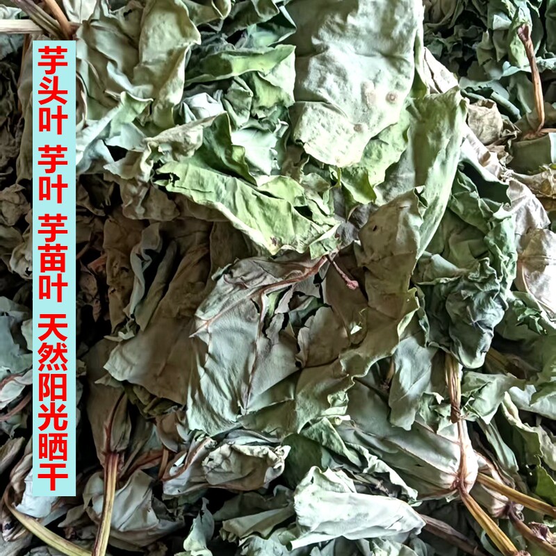 广西农家芋头叶芋叶芋荷叶芋苗叶天然阳光晒干
