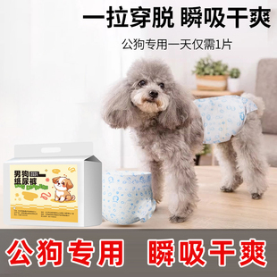 公狗纸尿裤礼貌带男狗尿不湿生理裤宠物小狗泰迪防乱尿一次性尿布