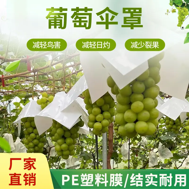 现货pe塑料防鸟罩一片式折叠水果