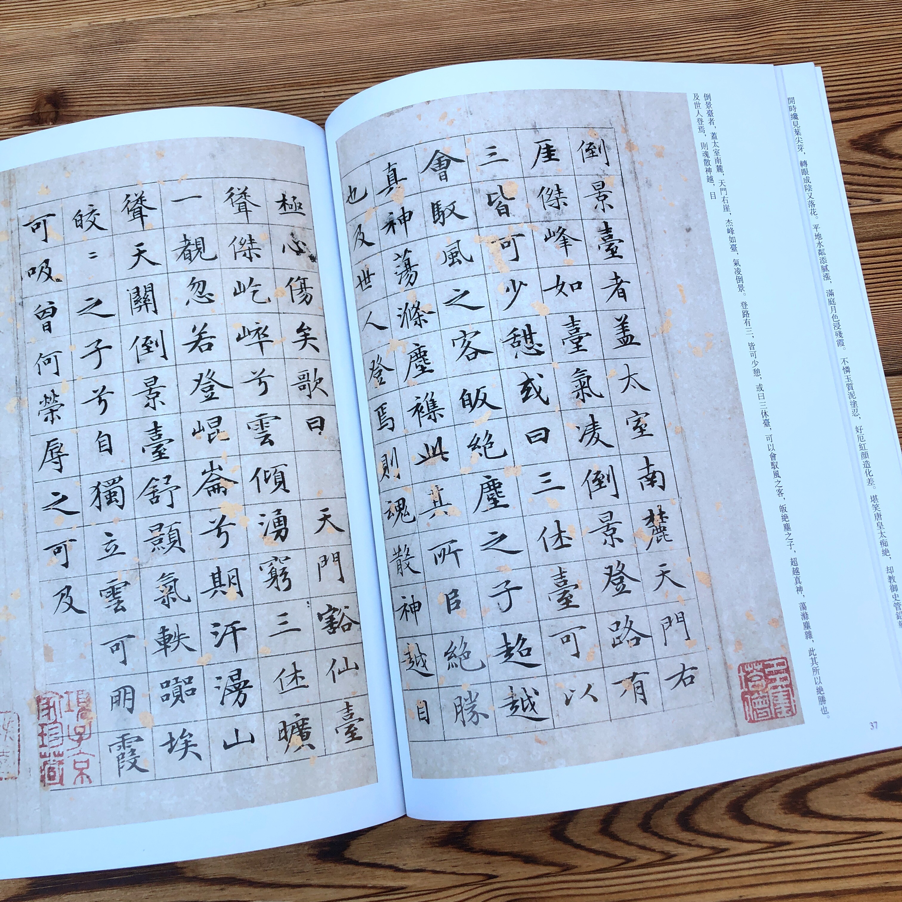 文徵明二落花诗卷跋湘君湘夫人园赤壁后赋草堂十志莲社园记小楷