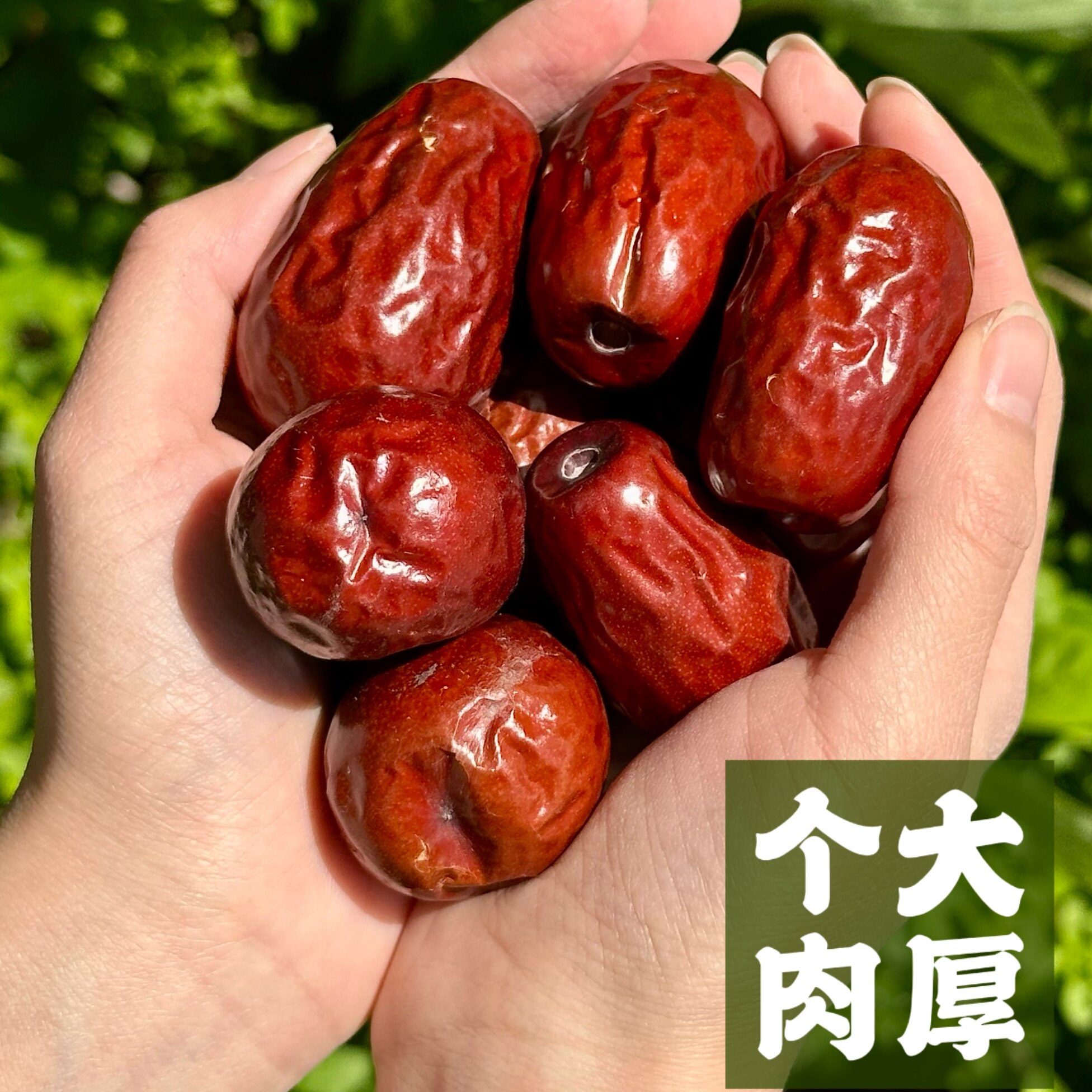 新疆和田大枣（大果）肉厚煲汤泡茶旅游伴手礼