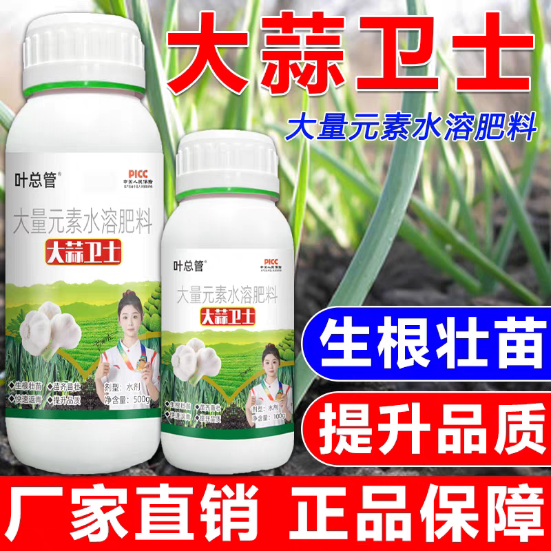 大蒜卫士专用肥预防干尖黄叶蒜苗生根绿叶苗齐苗壮早抽苔膨大增产