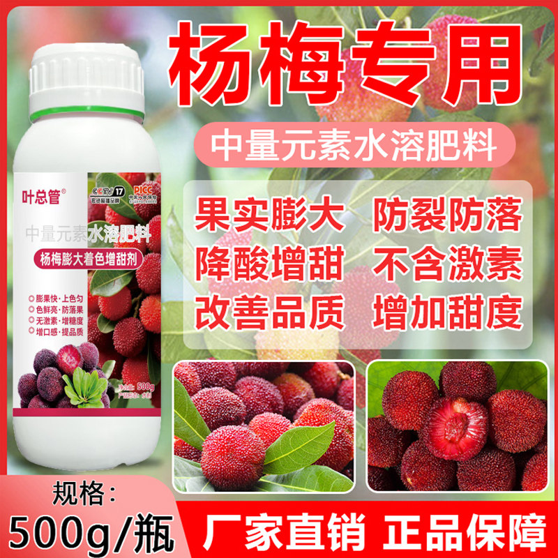 杨梅专用膨大着色增甜剂果实膨大剂防裂果降酸增甜催花增产增收肥