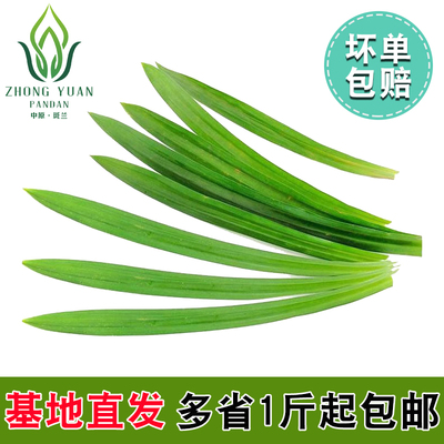 包邮泰国品种新鲜斑斓叶香兰叶班兰叶蛋糕千层糕芒果糯米饭料500g