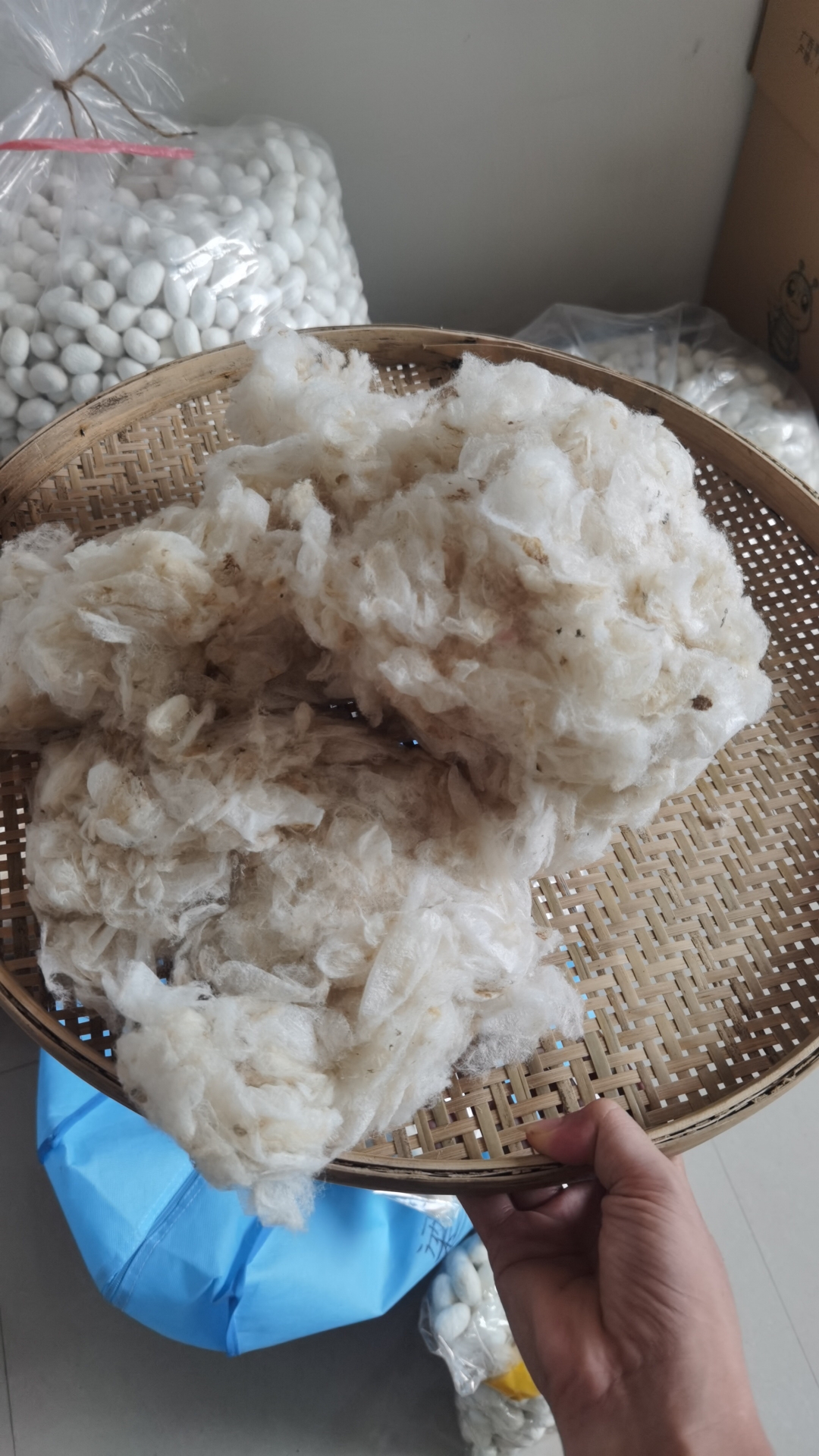 桑蚕蚕茧浮毛吐丝结茧前的乱丝，外层皮毛入药