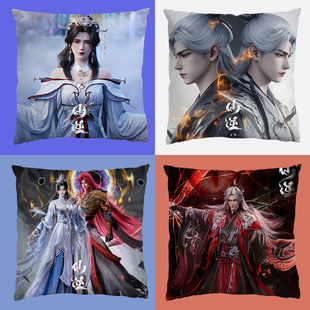 仙逆国漫定制周边抱枕靠枕王林可拆多材质垫子礼物现货