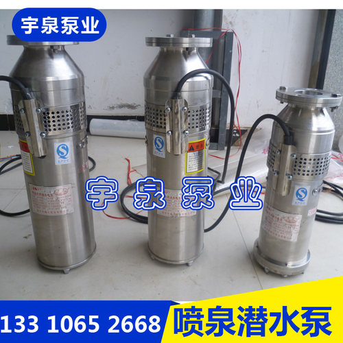 喷泉潜水泵不锈钢景观QSP80-12-4
