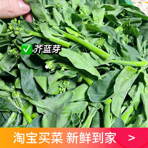 粤菜现摘芥蓝嫩芽炒牛肉脆嫩爽口细杆迷你芥兰苗新鲜蔬菜小号芥蓝