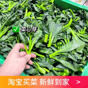 粤菜新鲜菜心芽软糯清甜港式甜菜心花迷你油菜苔小青菜短条菜毛