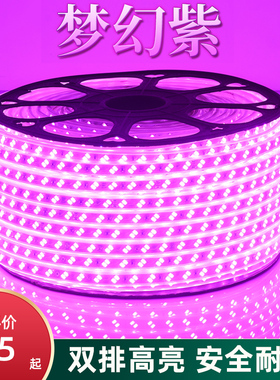 紫色led灯带紫光粉色灯带家用220v装饰浪漫创意超亮户外防水长条