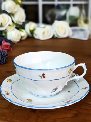 手绘茶杯碟咖啡杯Richardginori