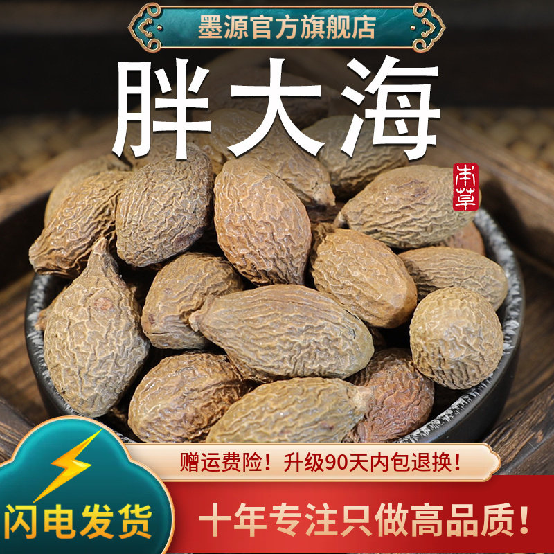 胖大海大果饱满广西筛选中药材