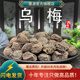 新疆特产天山大乌梅干中药材新鲜生晒非烟熏酸梅汤专用粉泡水干货