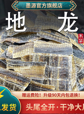 地龙中药材地龙干蚯蚓干全开地龙片正宗广地龙整条长非野生可打粉