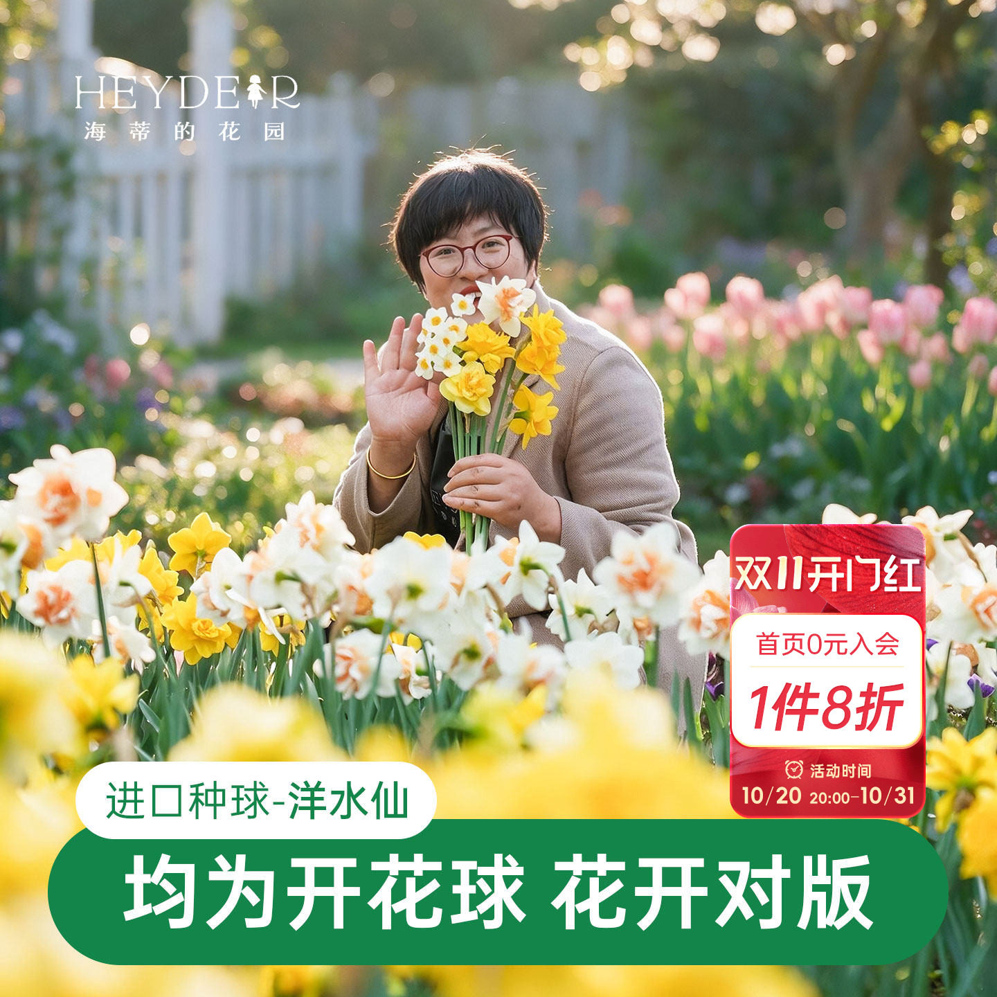 海蒂的花园洋水仙种球