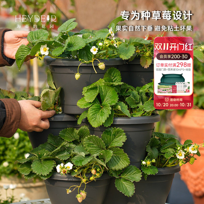 海蒂的花园环球星格尔组合盆种花种菜种草莓盆树脂创意立体花盆