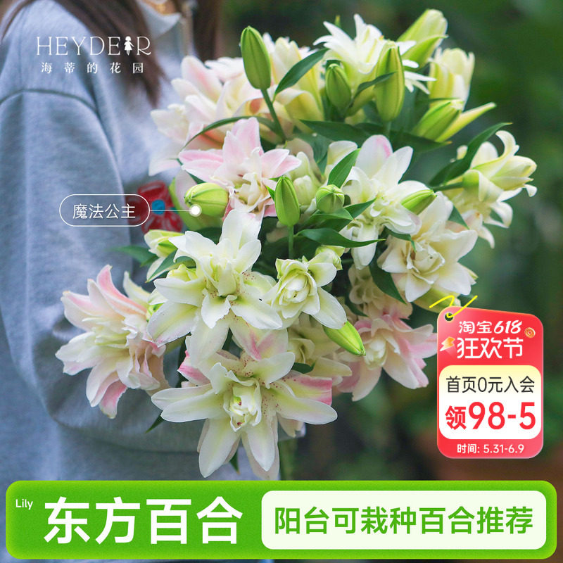 海蒂的花园成都总店香水东方百合种球进口球根盆栽阳台可栽种植物