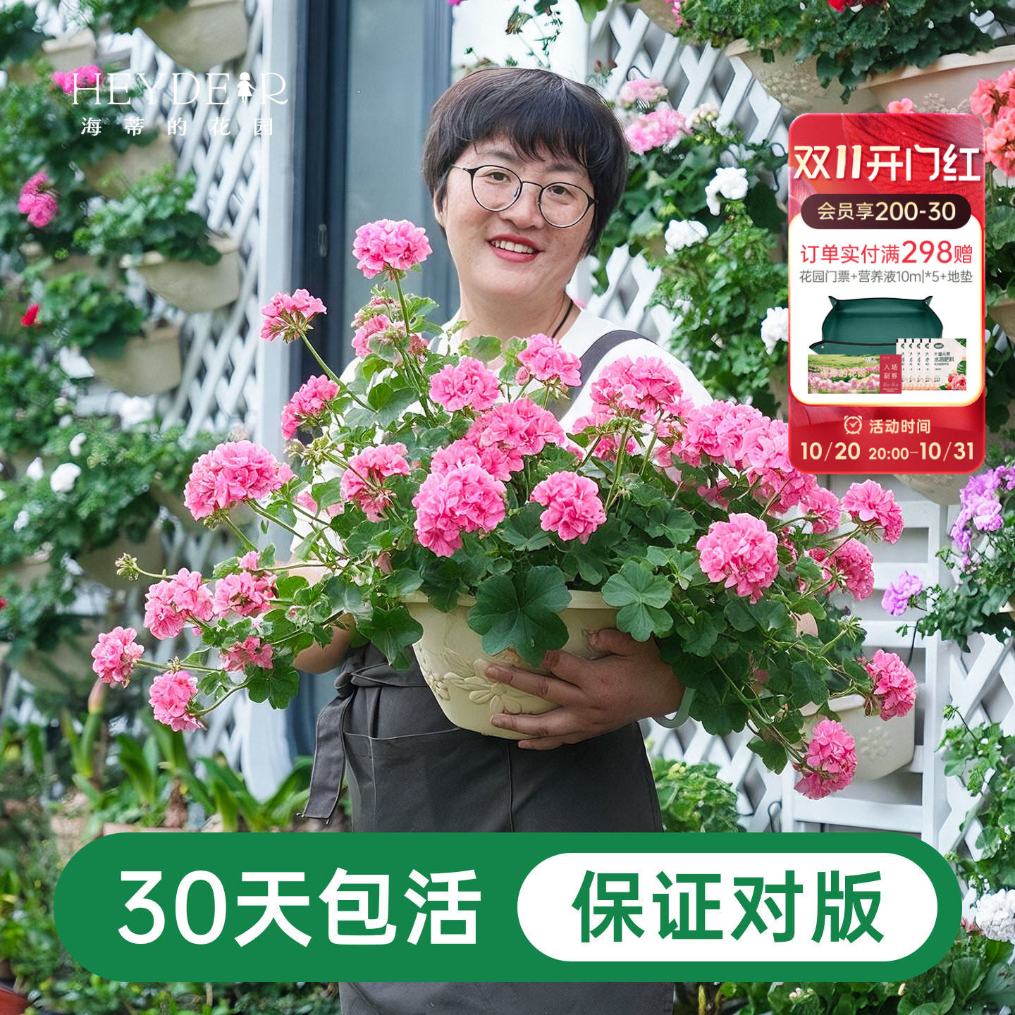 海蒂的花园成都总店天竺葵花苗盆栽阳台庭院垂吊重瓣多季开花海妈