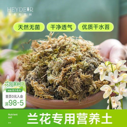 海蒂的花园水苔蝴蝶兰专用土兰花