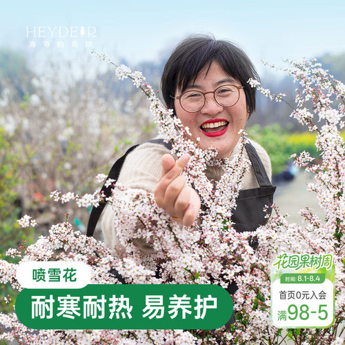 海蒂的花园喷雪花雪柳盆栽锦带绣黄金喷泉线菊溲疏小手球耐寒花卉