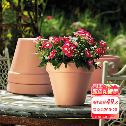 海蒂的花园帝罗马陶盆国际盆帝罗马花盆红陶花盆绿植花卉种植盆