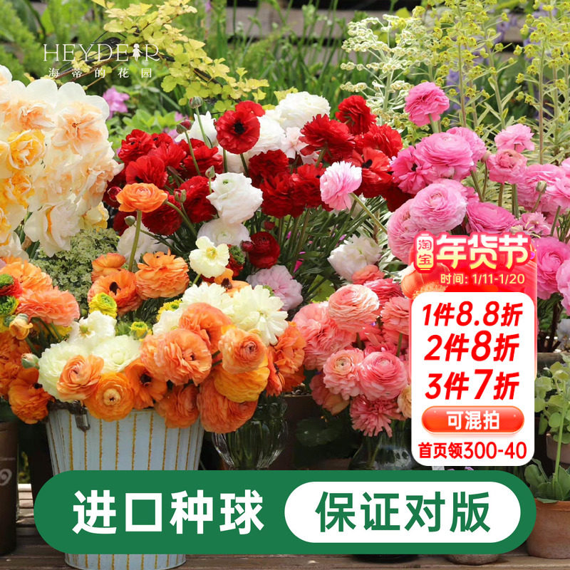 海蒂的花园花毛茛种球蝴蝶进口阳台庭院多年生盆栽地栽植物花卉,鲜花速递/花卉仿真/绿植园艺,时令草本花卉,淘宝优惠券,粉丝福利购,淘宝优惠卷