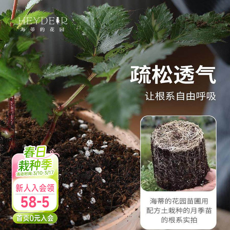 海蒂的花园营养土【12L】养花通用专用月季花土兰花土泥炭种植土