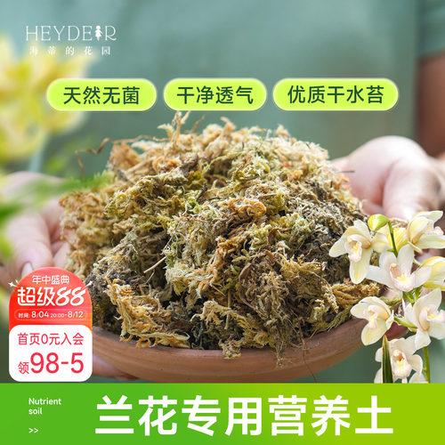 海蒂的花园水苔蝴蝶兰专用土兰花