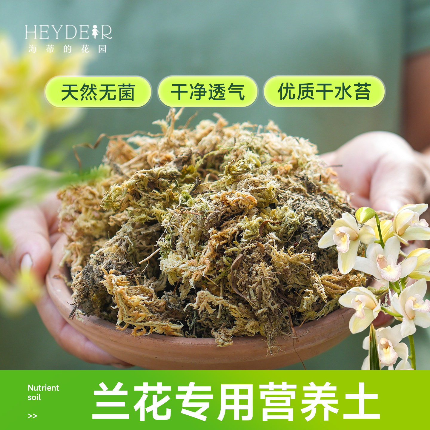 海蒂的花园水苔蝴蝶兰专用土兰花文心兰通用营养土干苔藓疏松透气