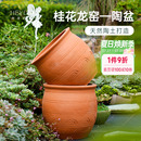 花园桂花龙窑红陶盆可爱复古土陶罐花卉盆栽种植种果树花盆 海蒂