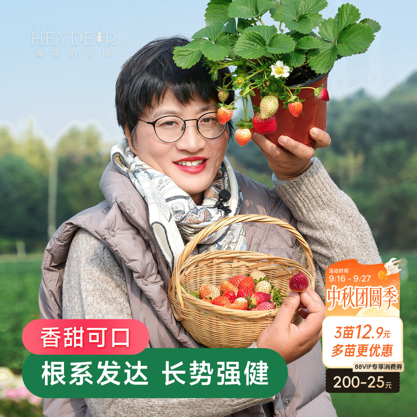 海蒂的花园草莓盆栽苗穴盘苗可地栽红颜章姬建德白露黔莓1号宁玉图片