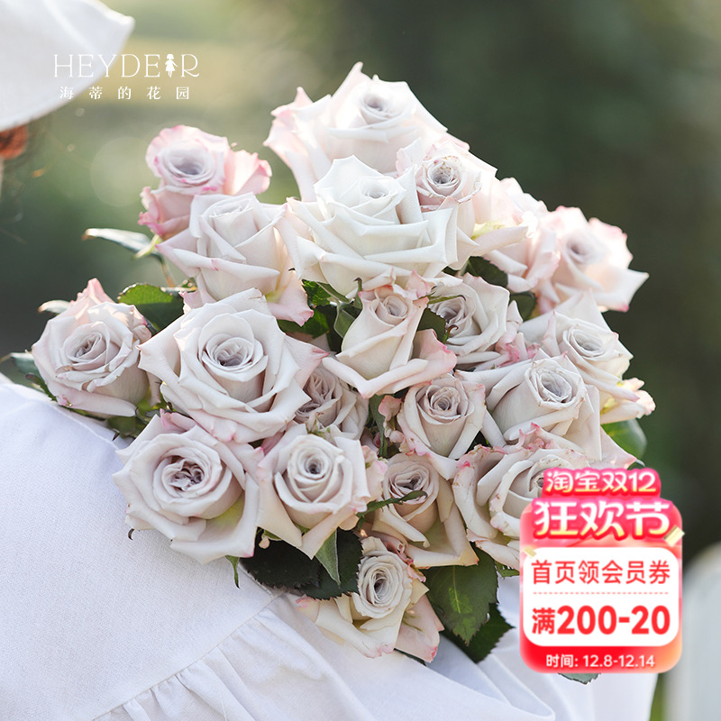 切花月季曼塔一朵花开半个月以上