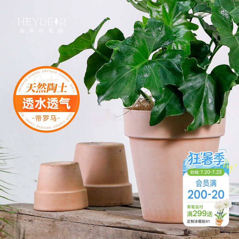 海蒂的花园  帝罗马陶盆国际盆阳台花卉绿植兰花栽种花盆