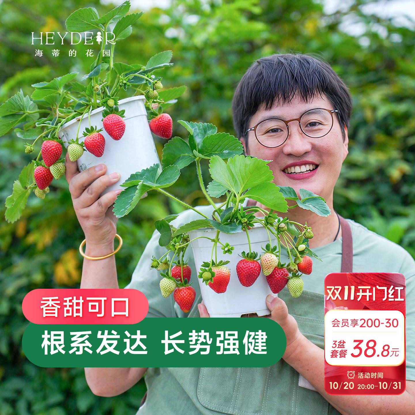 海蒂的花园草莓苗盆栽苗秧种子秋冬季多季结果原土原盆红颜奶油