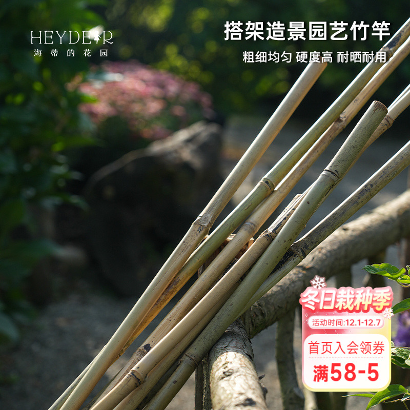 海蒂的花园 竹竿菜园蔬菜瓜果植物搭架支撑竿爬藤架园艺栏杆栅栏