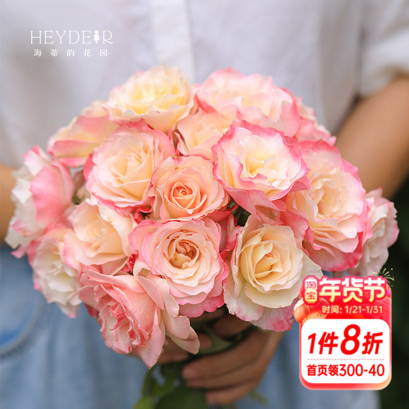 海蒂的花园六翼天使河本月季勤花抗病灌木花卉阳台庭院植物盆栽苗,鲜花速递/花卉仿真/绿植园艺,月季/蔷薇/玫瑰,淘宝优惠券,粉丝福利购,淘宝优惠卷