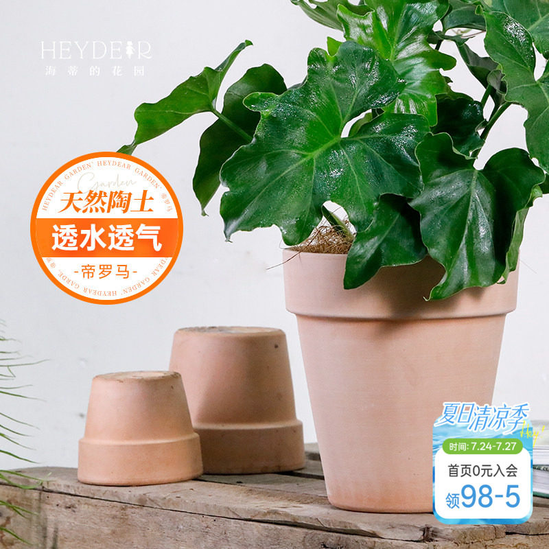 海蒂的花园  帝罗马陶盆国际盆阳台花卉绿植兰花栽种花盆