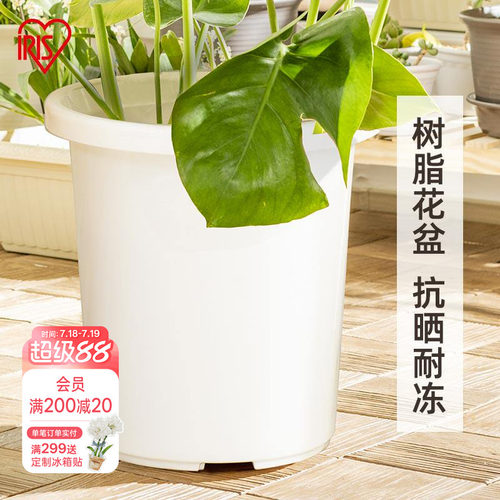 海蒂的花园爱丽思TILT素雅简约树脂塑料花盆月季绣球种植盆深型盆