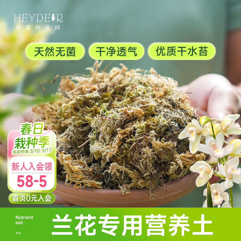海蒂的花园成都总店兰花专用土蝴蝶兰文心兰通用营养土水苔海妈