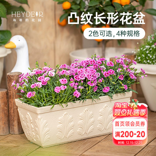 爱丽思种植盆长方形花盆