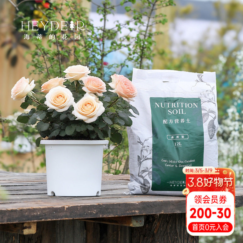 海蒂的花园养花种菜通用专用配方土花盆换盆养护套餐 - 海蒂的花园 成都总店出品